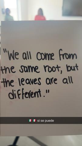 Quote saying "We all come from the same root, but the leaves are all different".