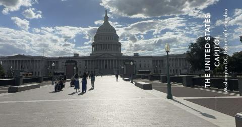 Capitol view.